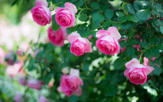 940458 (a): :2880x1800